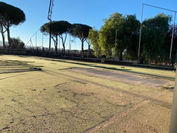 parco-tric-3.jpeg